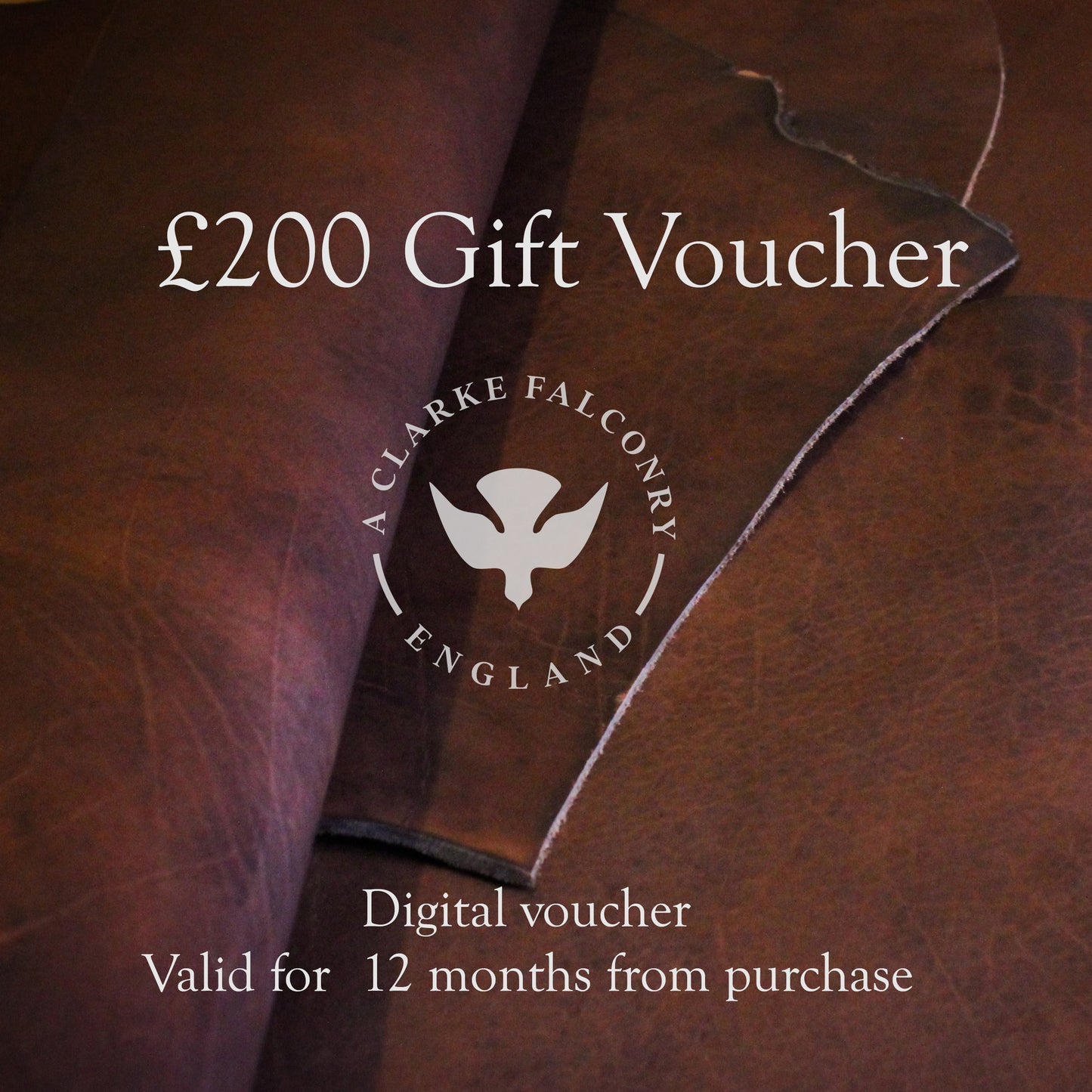 A Clarke Falconry England Gift Voucher