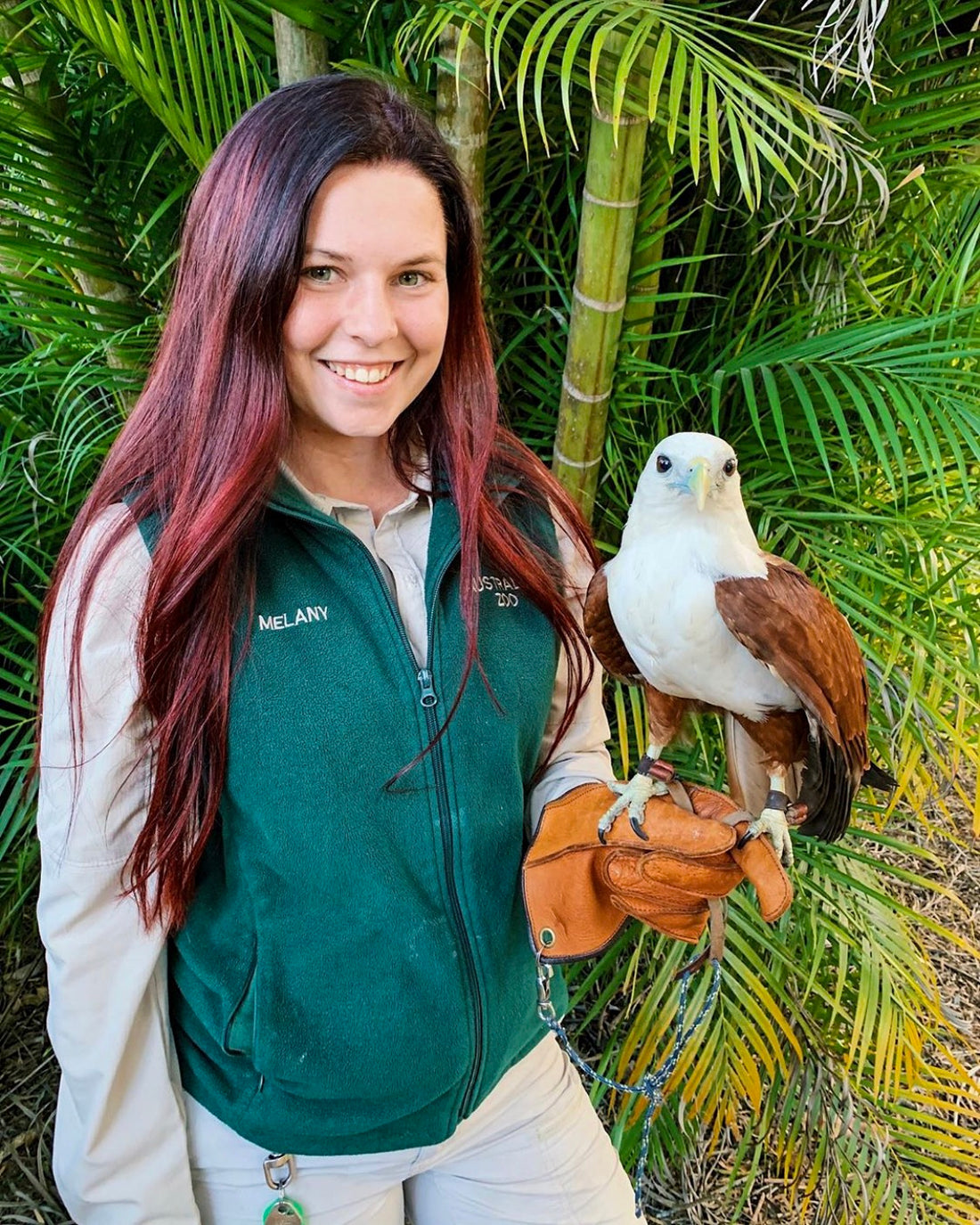 Our Bespoke Falconry Glove In Action