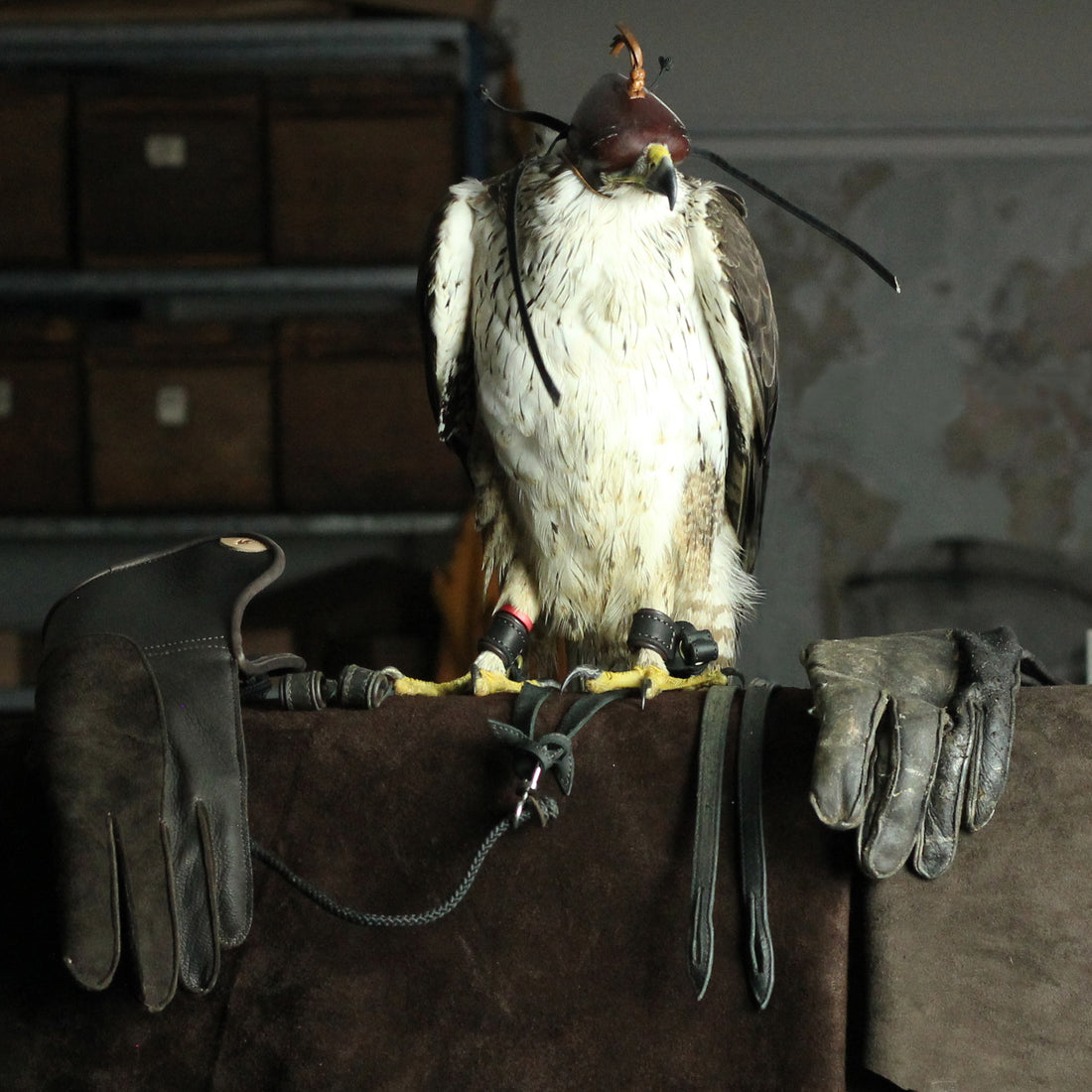 Out with the old, in with the new...