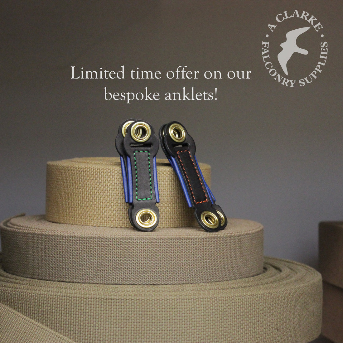 Our May offer...