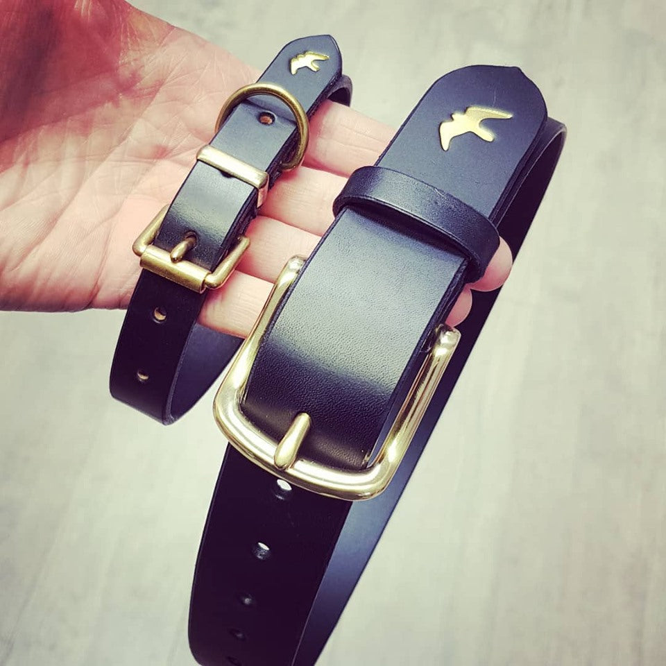 Matching Belt and Dog Collar