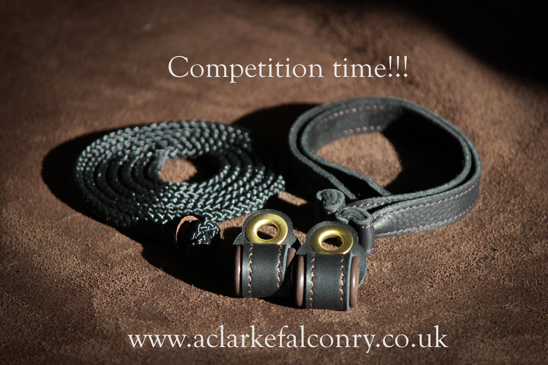 Competition Time!