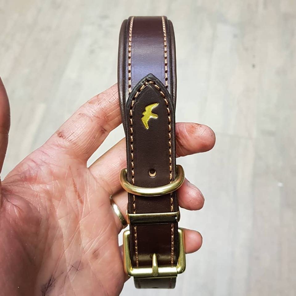 Customized collar by A Clarke Falconry