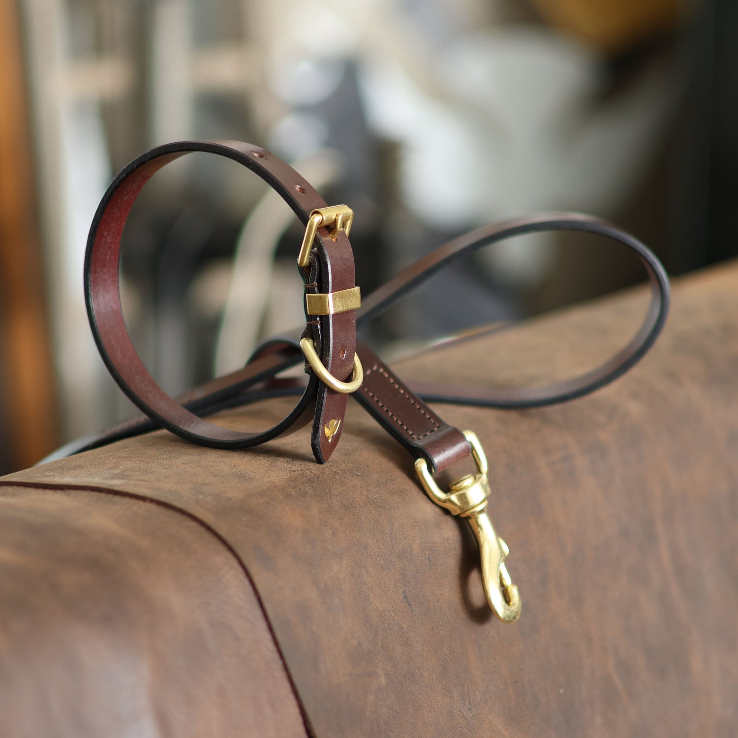 Dog Collars and Leads