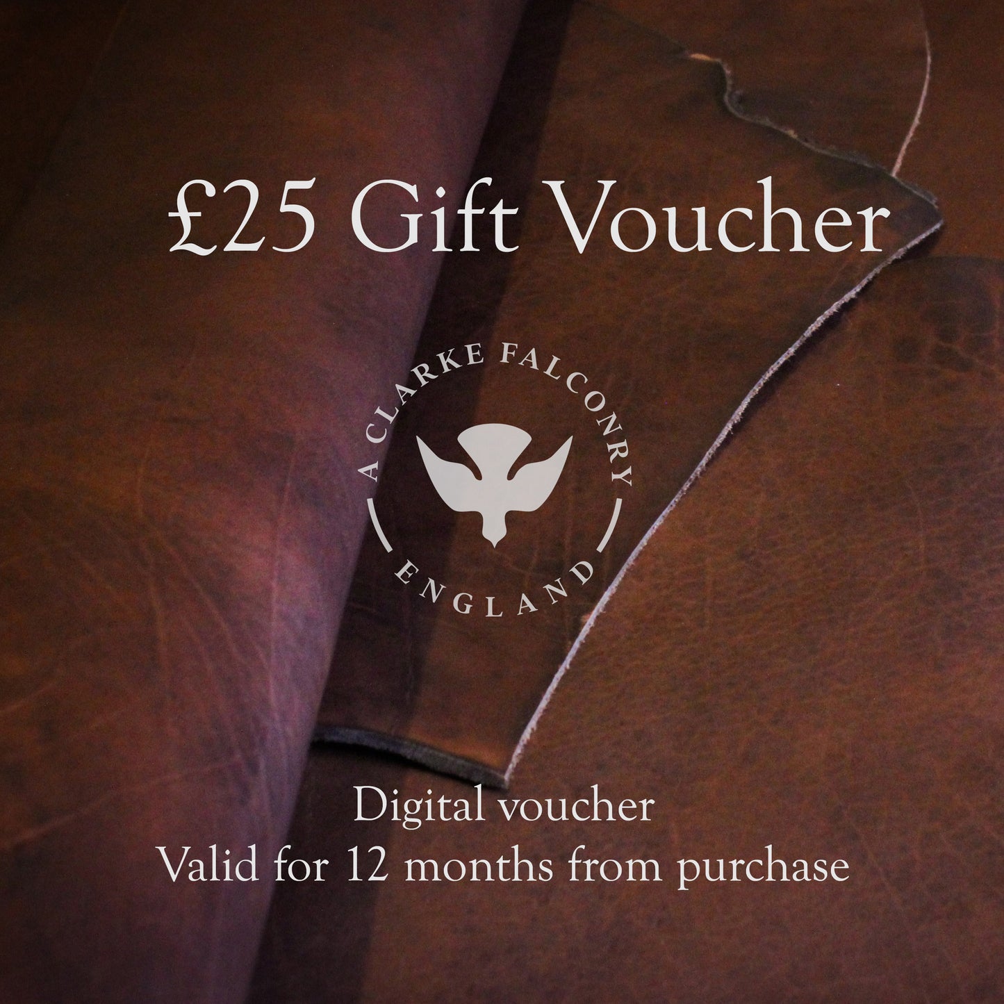A Clarke Falconry England Gift Voucher